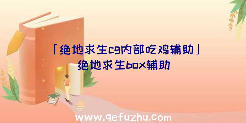 「绝地求生cg内部吃鸡辅助」|绝地求生box辅助